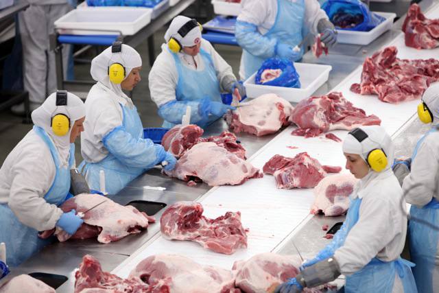 Carne bovina representa 21,1% das exportações do Tocantins e gera US$ 633 milhões em vendas internacionais Tocantins 
