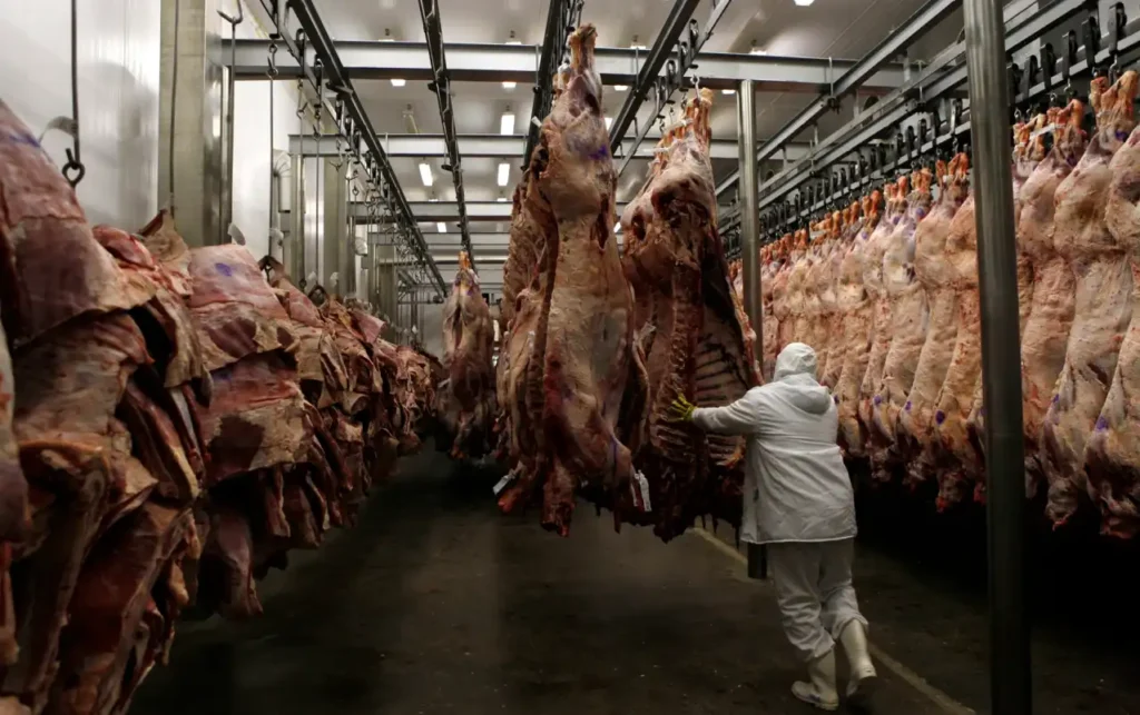 Carne bovina representa 21,1% das exportações do Tocantins e gera US$ 633 milhões em vendas internacionais Tocantins 