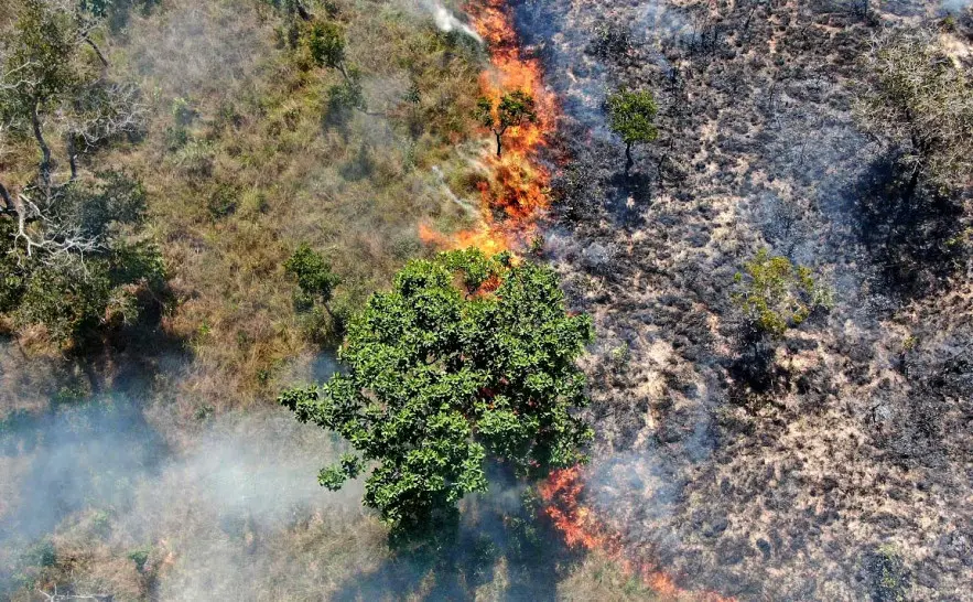 440891 El Niño provoca calor extremo e risco de queimadas no Tocantins