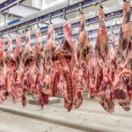 Carne brasileira
