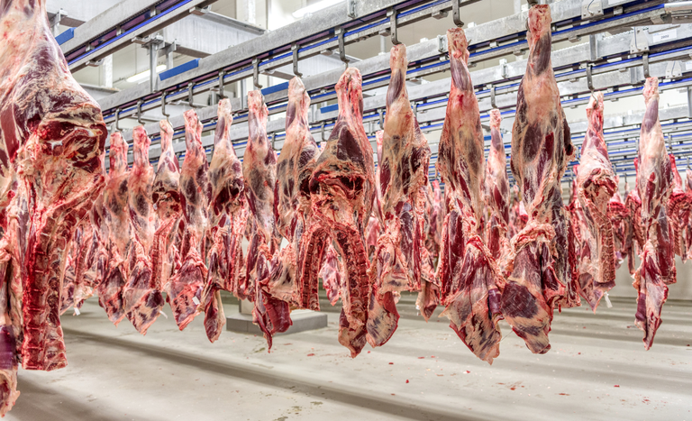 Carne brasileira