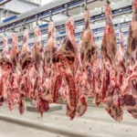Carne bovina