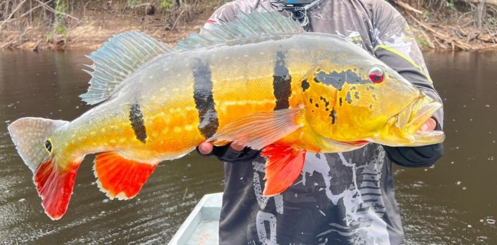 Torneio de pesca