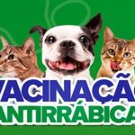 Vacinação antirrábica avança em Araguaína 18 Vacinação antirrábica
