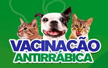 Vacinação antirrábica