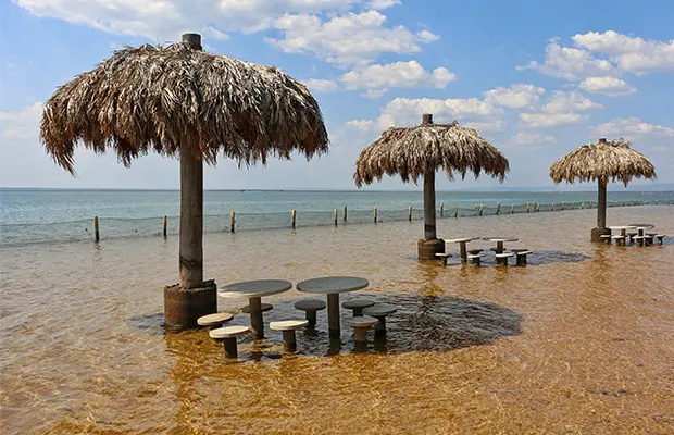 canela-10.jpg Temporada de praia cancelada em 2 cidades do Tocantins