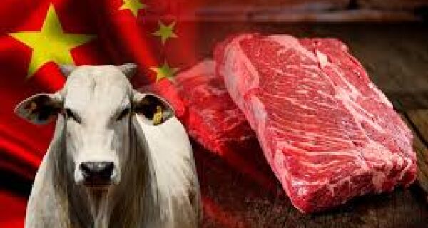 carne-china Carne brasileira: como evitar tarifas da China em 2026