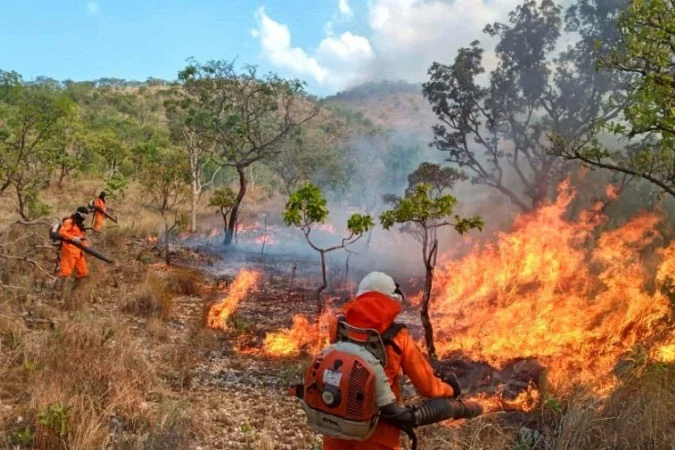 Tocantins área queimada