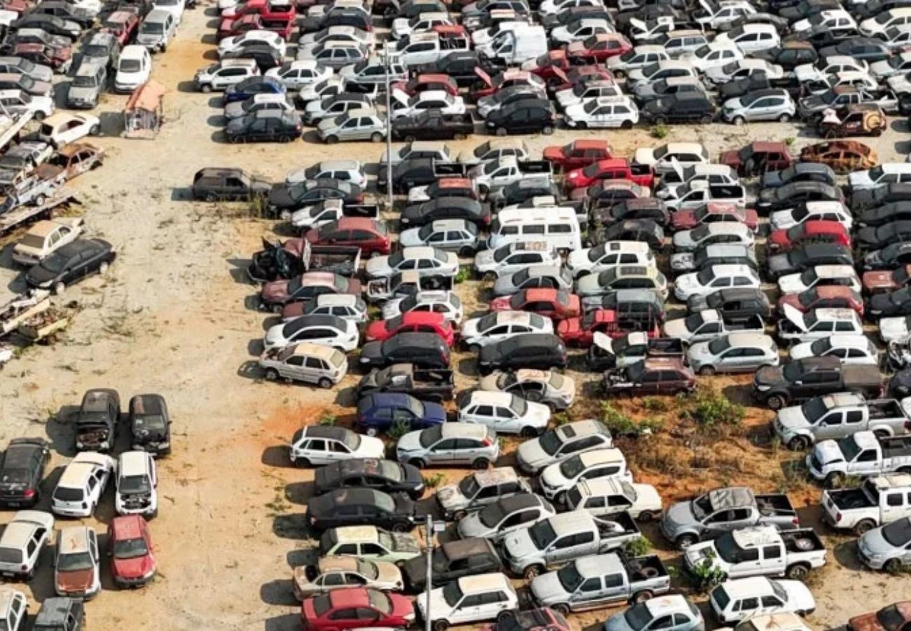 leilão de 296 veículos