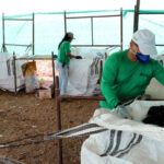 Reciclagem e combate a incêndios no TO recebem R$ 87 milhões 19 Reciclagem e combate a incêndios